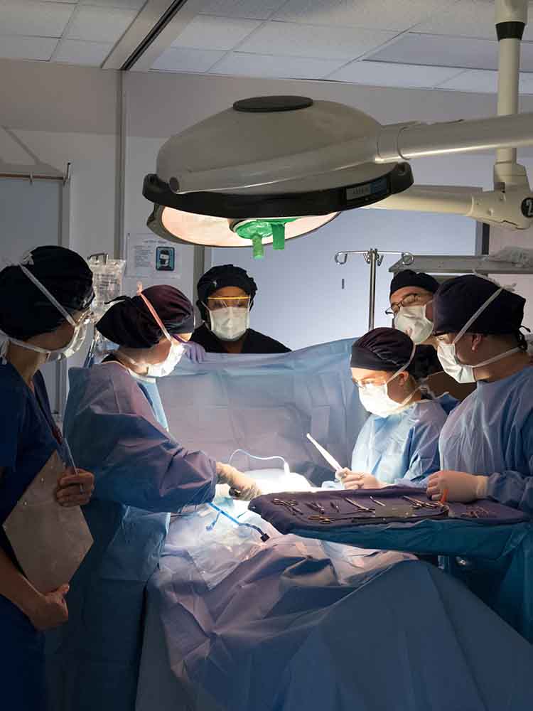 surgical techs helping in surgery